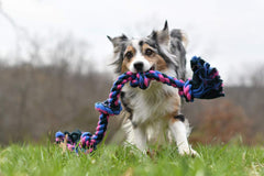 Tamaño extra grande: 31 pulgadas, ideal para perros grandes