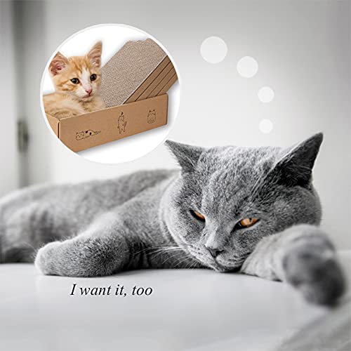 Mankaide set práctico para entrenar hábitos felinos y reducir muebles dañados.