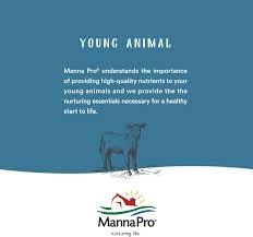 Manna Pro Cut Heal Hoof Heal, aporta brillo saludable tras la aplicación