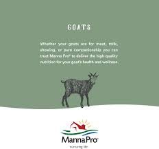 Manna Pro Cut Heal Hoof Heal, textura cremosa facilita la distribución en el casco seco