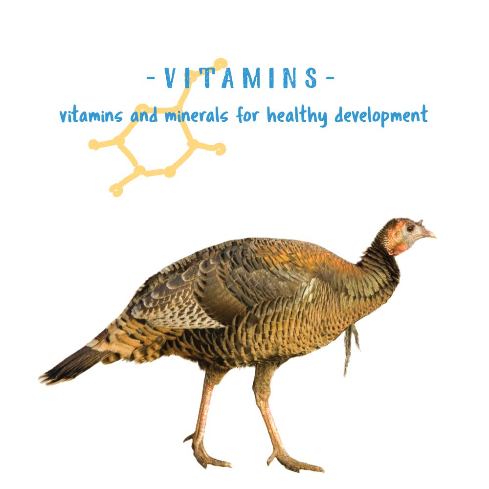 Manna Pro Gamebird Showbird Crumbles: aves comiendo en comedero.