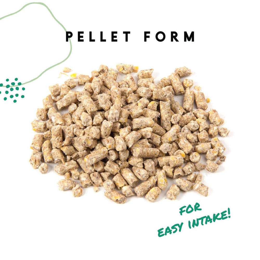 Manna Pro granulos ponedoras para huevos con cáscara más resistente.