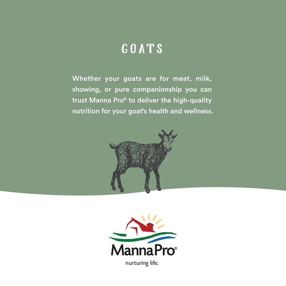 Manna Pro Hen Healer textura suave y azul distintivo.