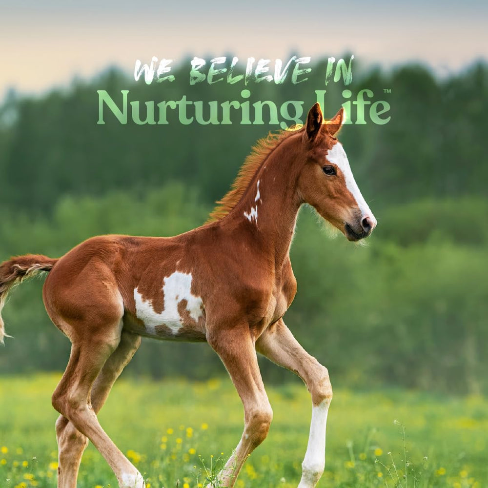 Manna Pro Nurse All - ayuda a la digestión y absorción de nutrientes.