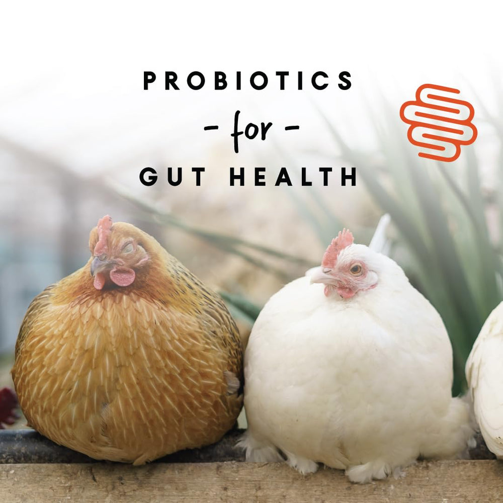 Manna Pro vitaminas y calcio para huesos y cáscaras robustas