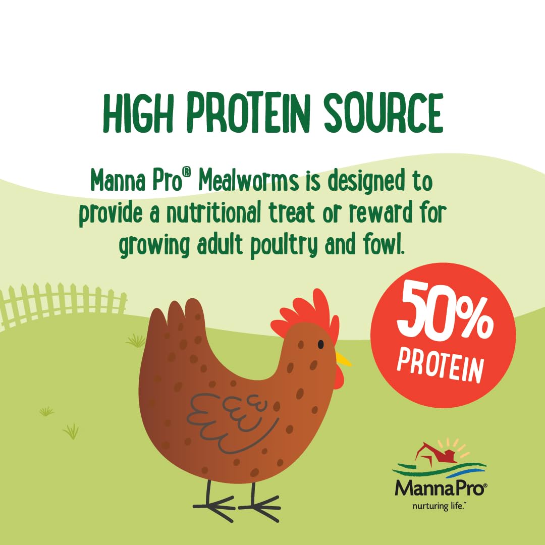 Manna Pro Mealworms para pollos, pavos y patos, fomenta el forraje natural.