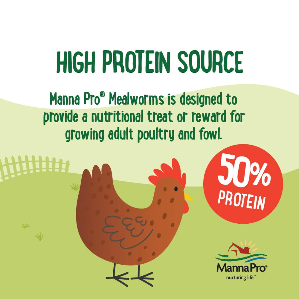 Manna Pro Mealworms para pollos, pavos y patos, fomenta el forraje natural.