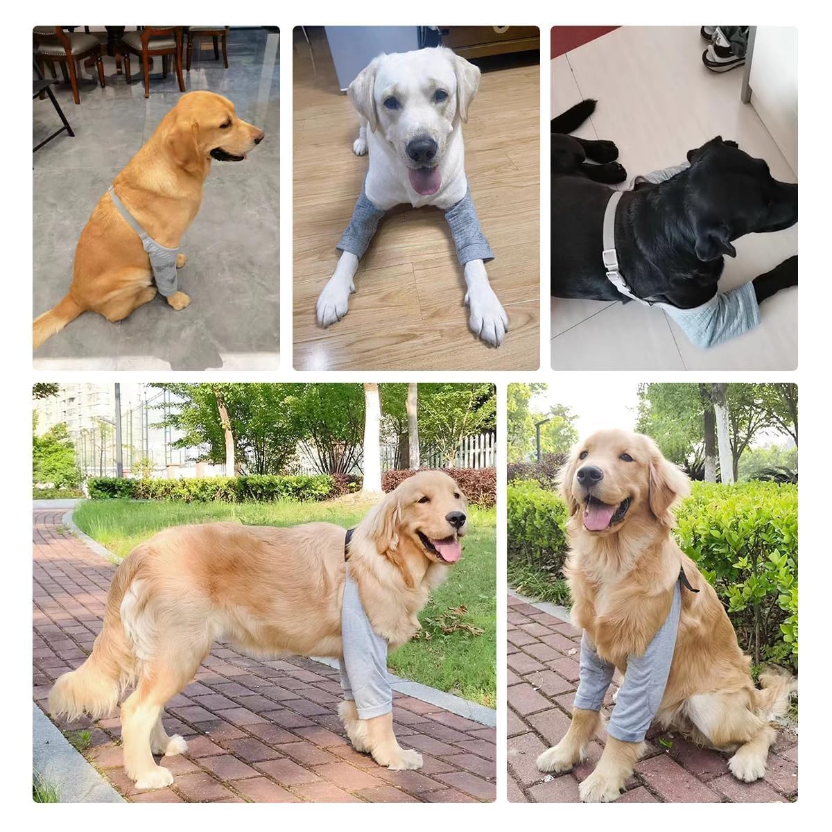 MANON ROSA perro usando manga codo frontal, ideal para uso diario.