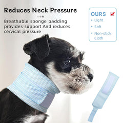 MANON ROSA protección anti-arañazos para gatos con collar Elizabethano azul.