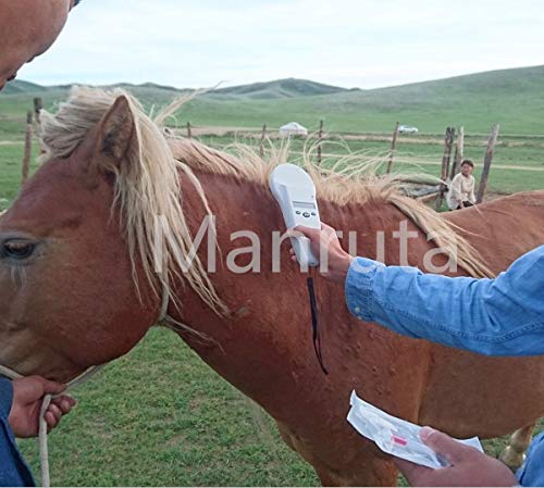 Manruta microchip ID para pato, facilita el seguimiento y devolución.