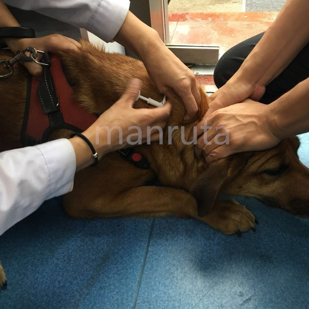 Manruta pack de 20 microchips, opción económica para varias mascotas.