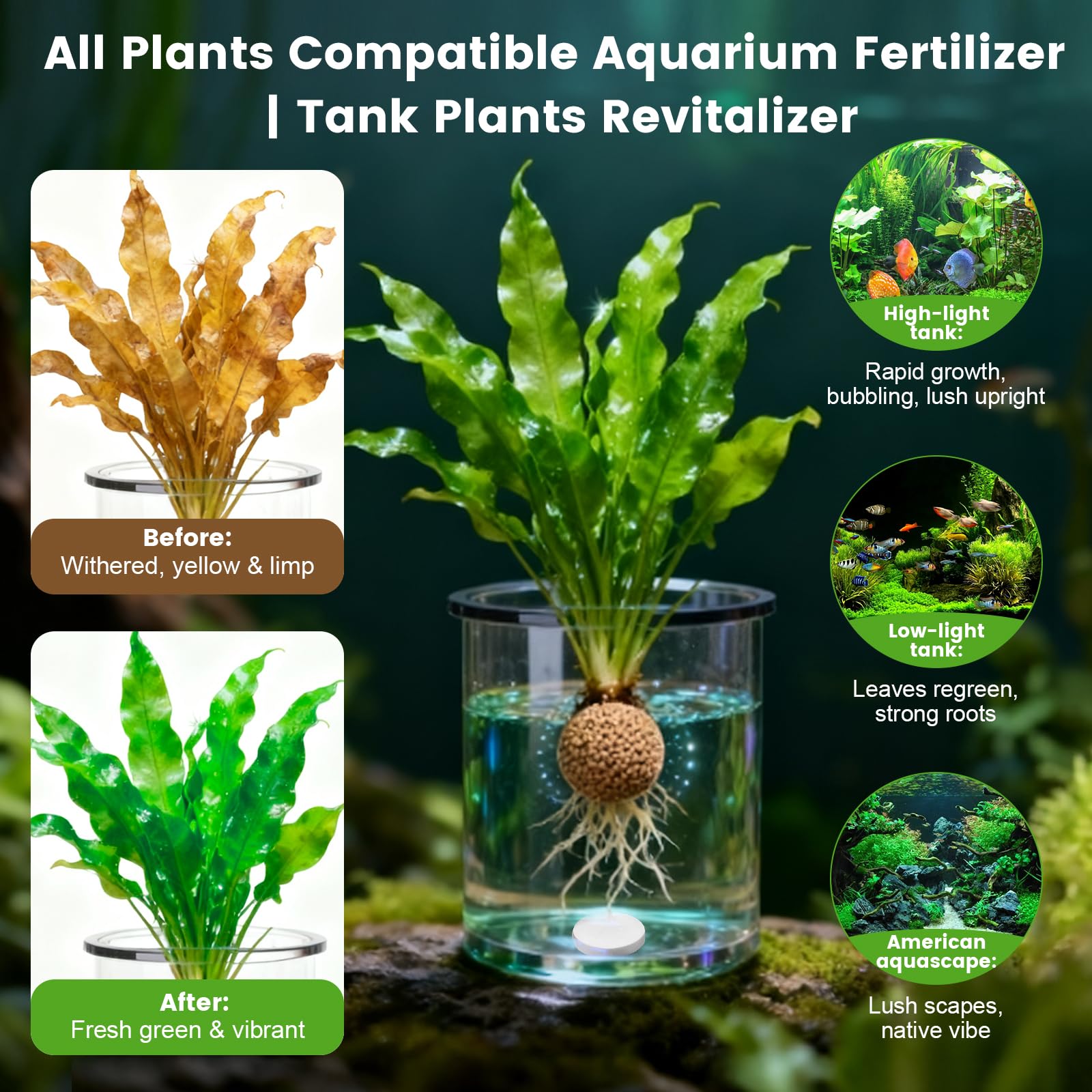 Maozyiltle Tabs en Substrato junto a plantas para nutrición raíz