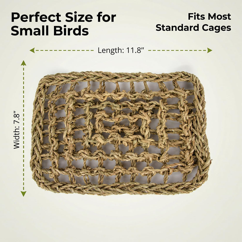 MAQIHAN accesorio colgado para aves, fácil de adaptar