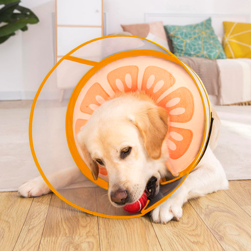Mariyago collar inflable ml naranja, práctico para uso diario tras cirugía