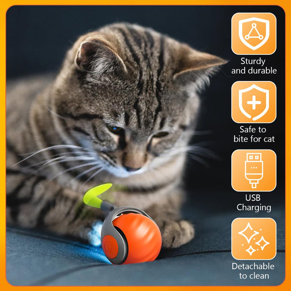MAROJEIF Tail 2.0: materiales resistentes a mordidas para uso diario.