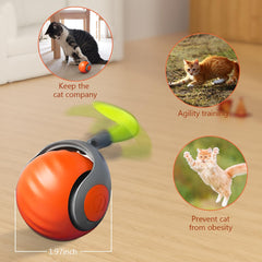 MAROJEIF Tail 2.0: modo doble de velocidad para adaptar la energía del gato.