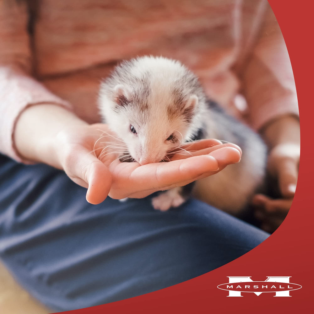 Marshall Ferret Lax Hairball Remedy, dosis para prevenir bolas de pelo en hurones.