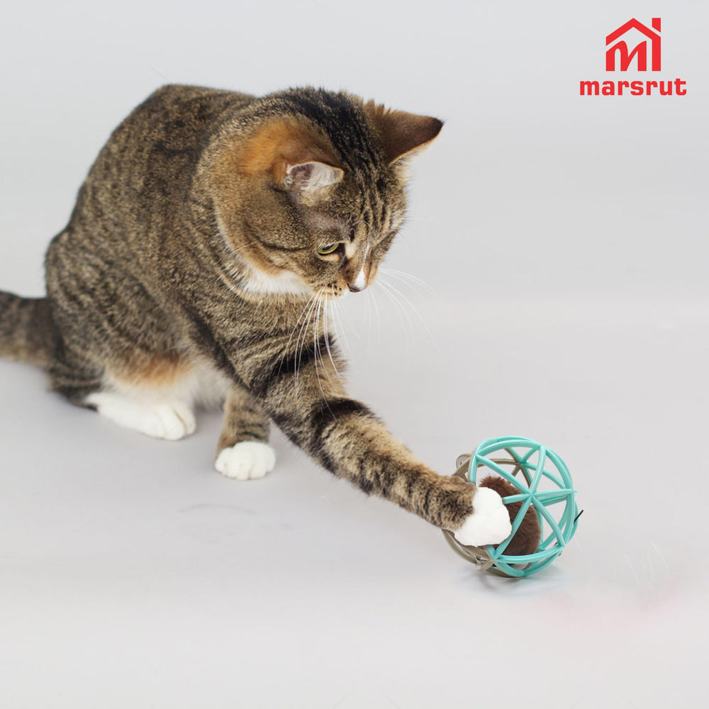 Marsrut bola con sonido y colores brillantes estimula interés y exploración del gato