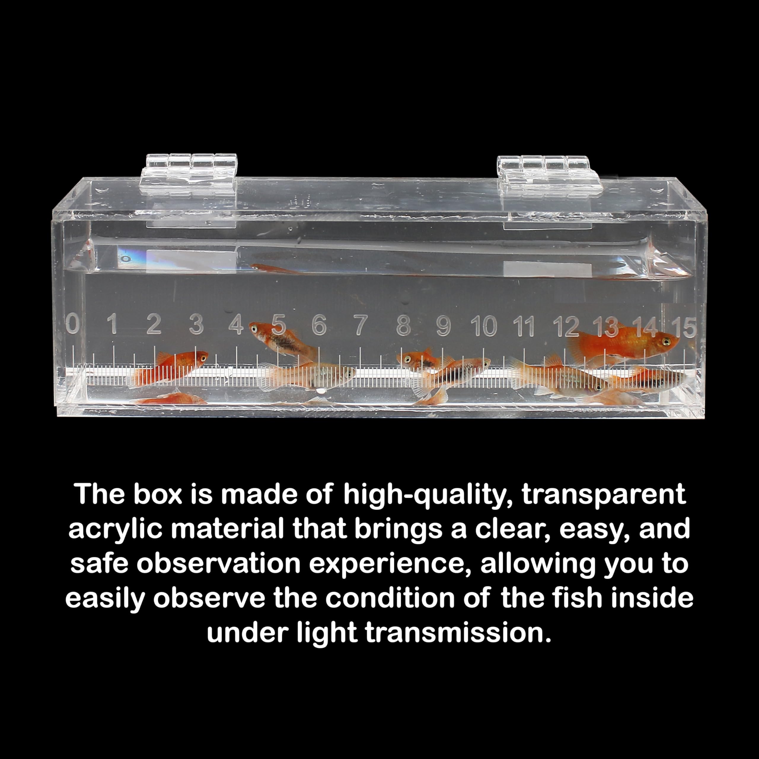 Marsrut caja de cría para peces pequeños con tapa para uso seguro