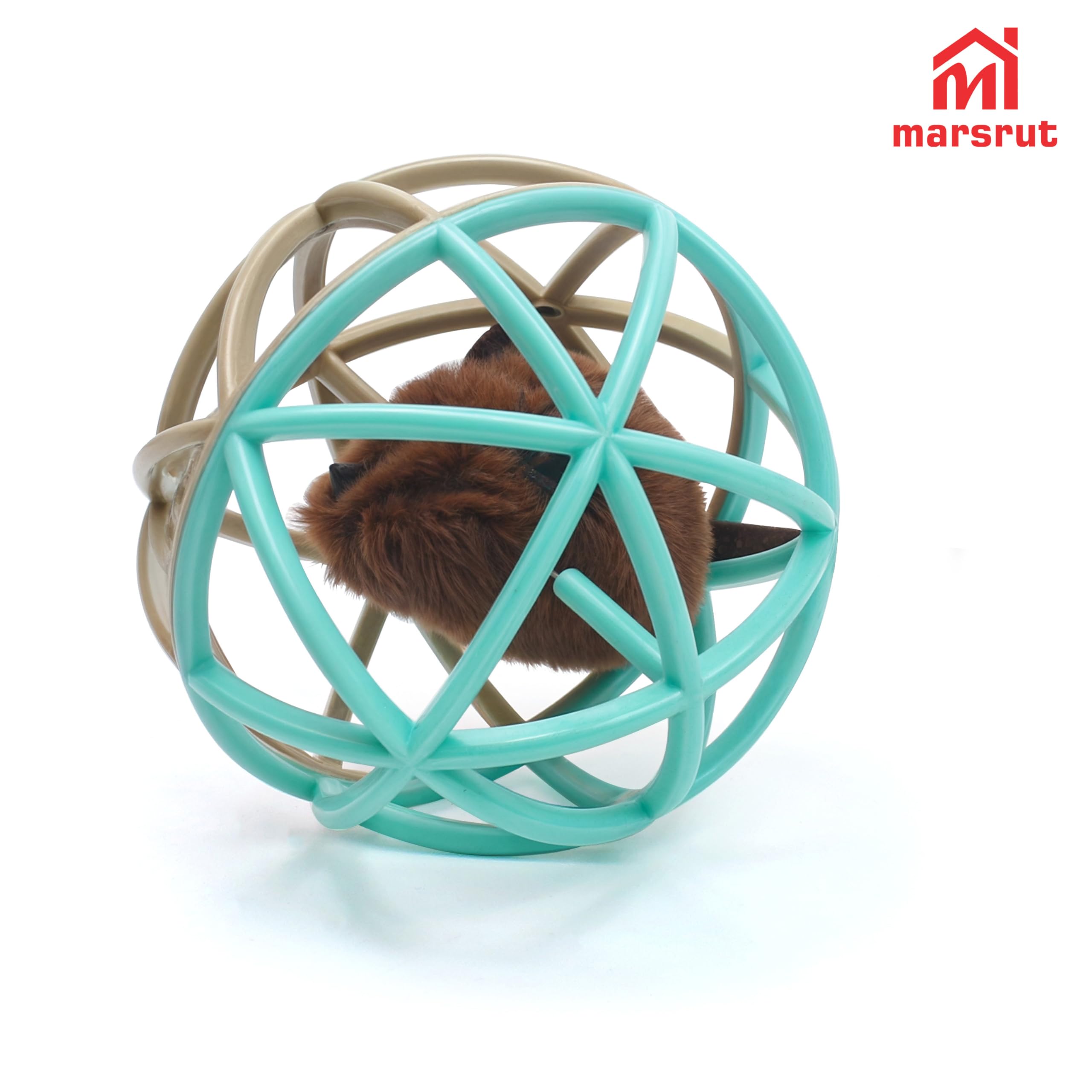Marsrut regalo perfecto para amantes de gatos que buscan diversión
