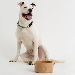 Cuenco Mason Cash Cane con capacidad de 81 onzas para hidratar a tu mascota.