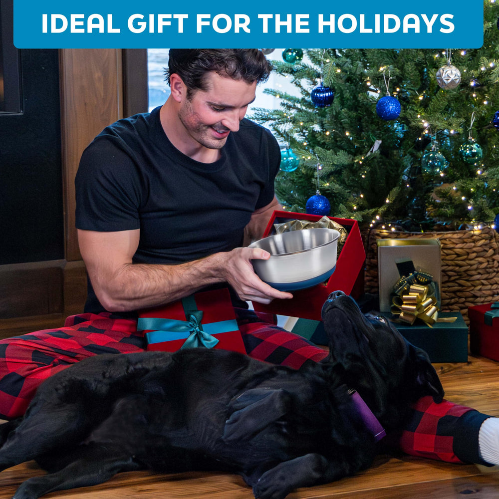 Regalo ideal para dueños de mascotas con cuencos Master Pet Supply