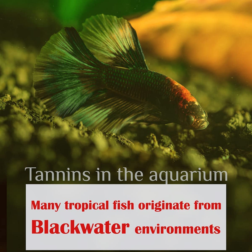 Utilisation facile: ajouter quelques feuilles MATCHIMAA dans l'aquarium.