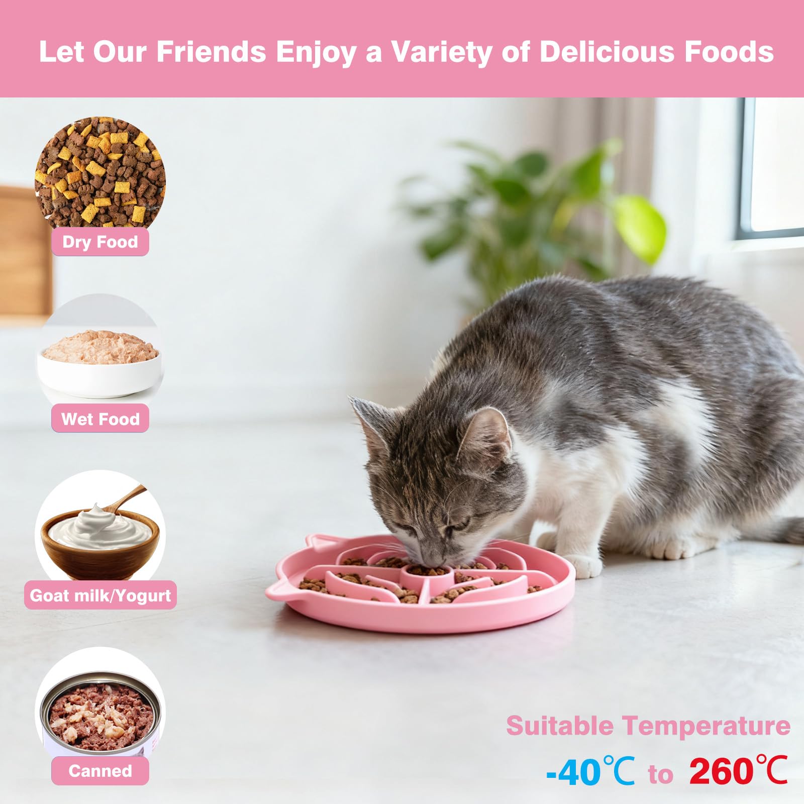 MateeyLife cuenco para gatos con control de porciones para una alimentación consciente