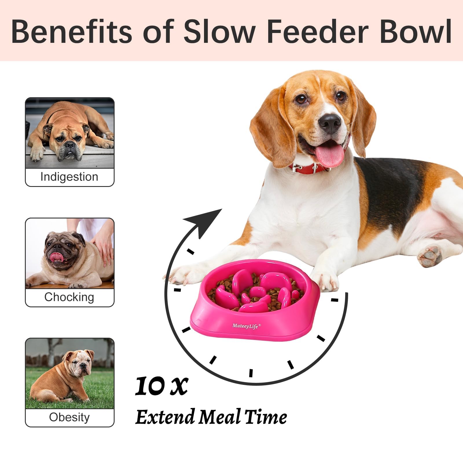 MateeyLife rompecabezas de alimentación para perros, enfoque durante la comida.