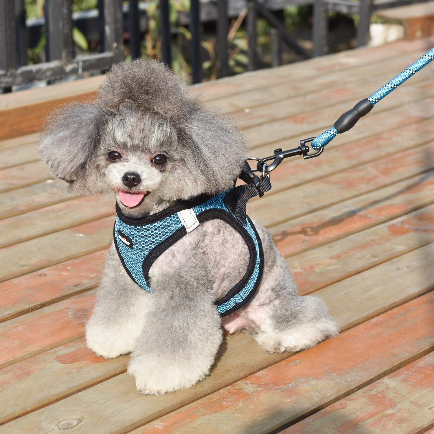 Harnais Matilor bleu, confort quotidien pour chiens et chats.