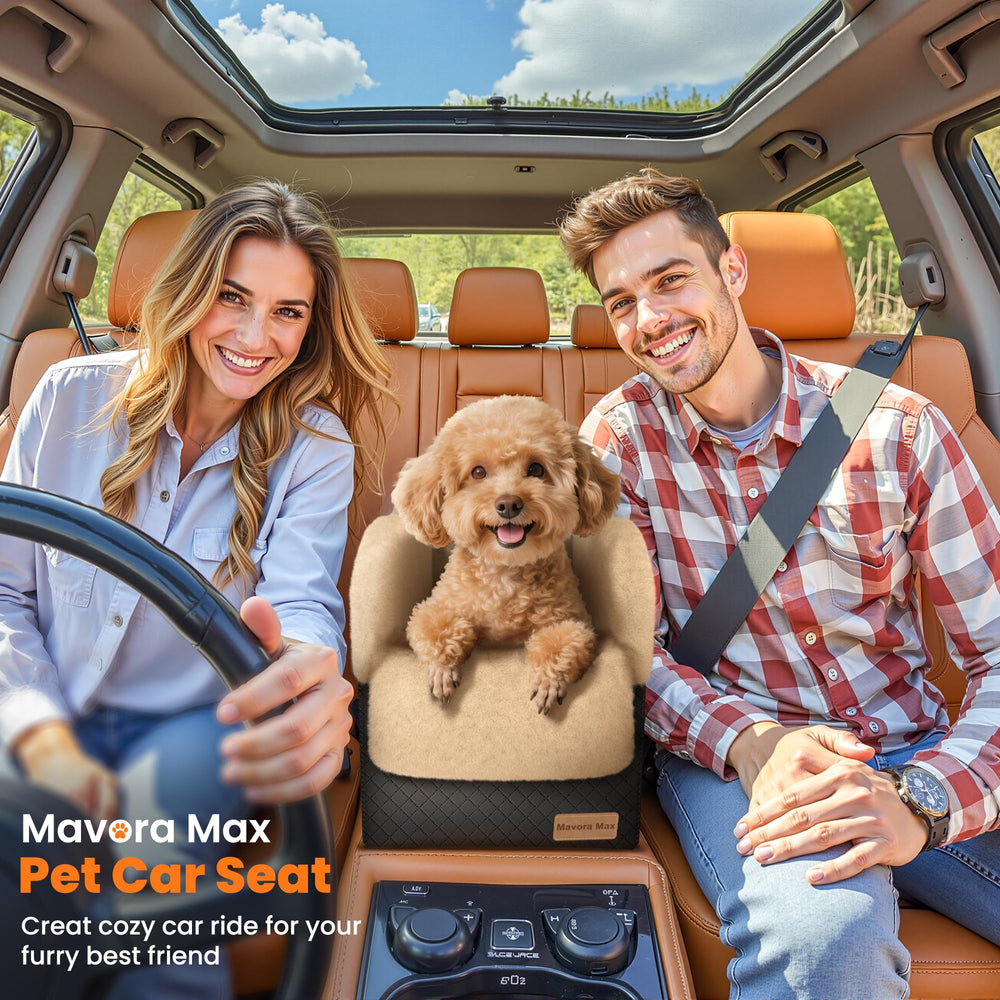 Mavora Max: correa de seguridad para mantener al perro seguro en el asiento