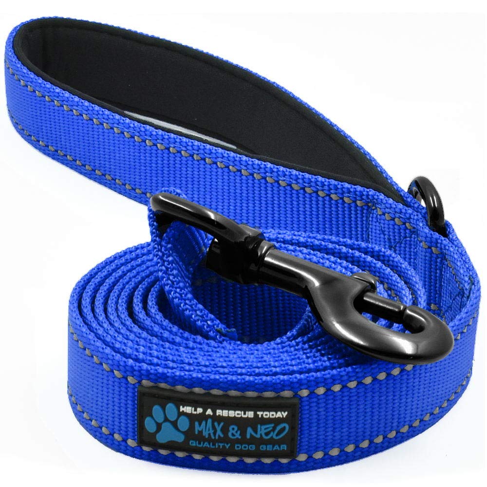 Max y Neo: correa de nylon reflectante azul para mayor visibilidad nocturna