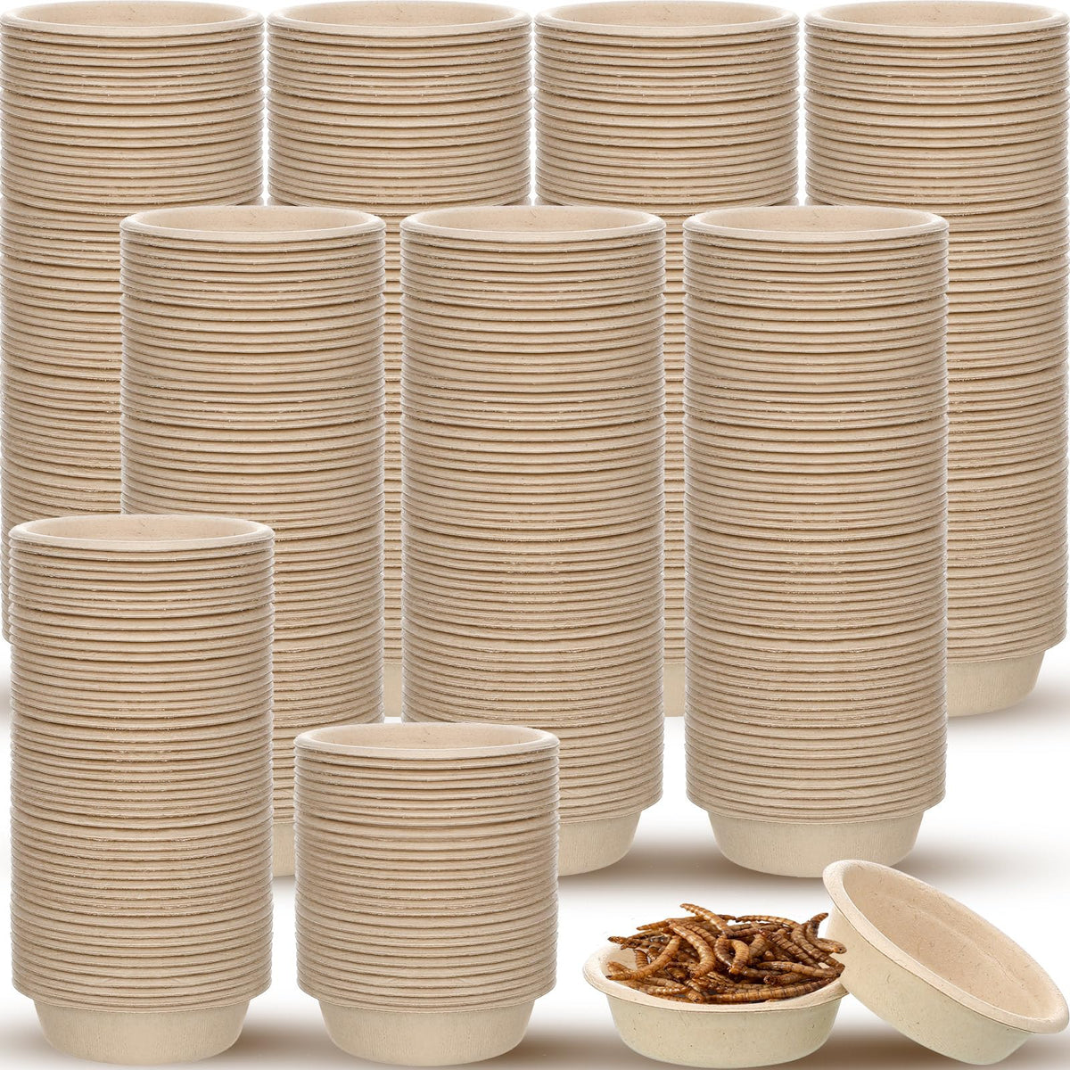 Copas de papel Maxcheck 1 oz frente, ideales para alimentar geckos de forma higiénica.