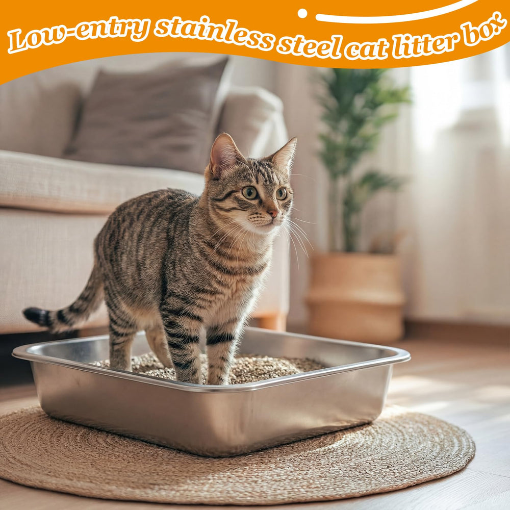Maxcheck lote de diez bandejas, ideal para hogares con varios gatos o uso comercial.