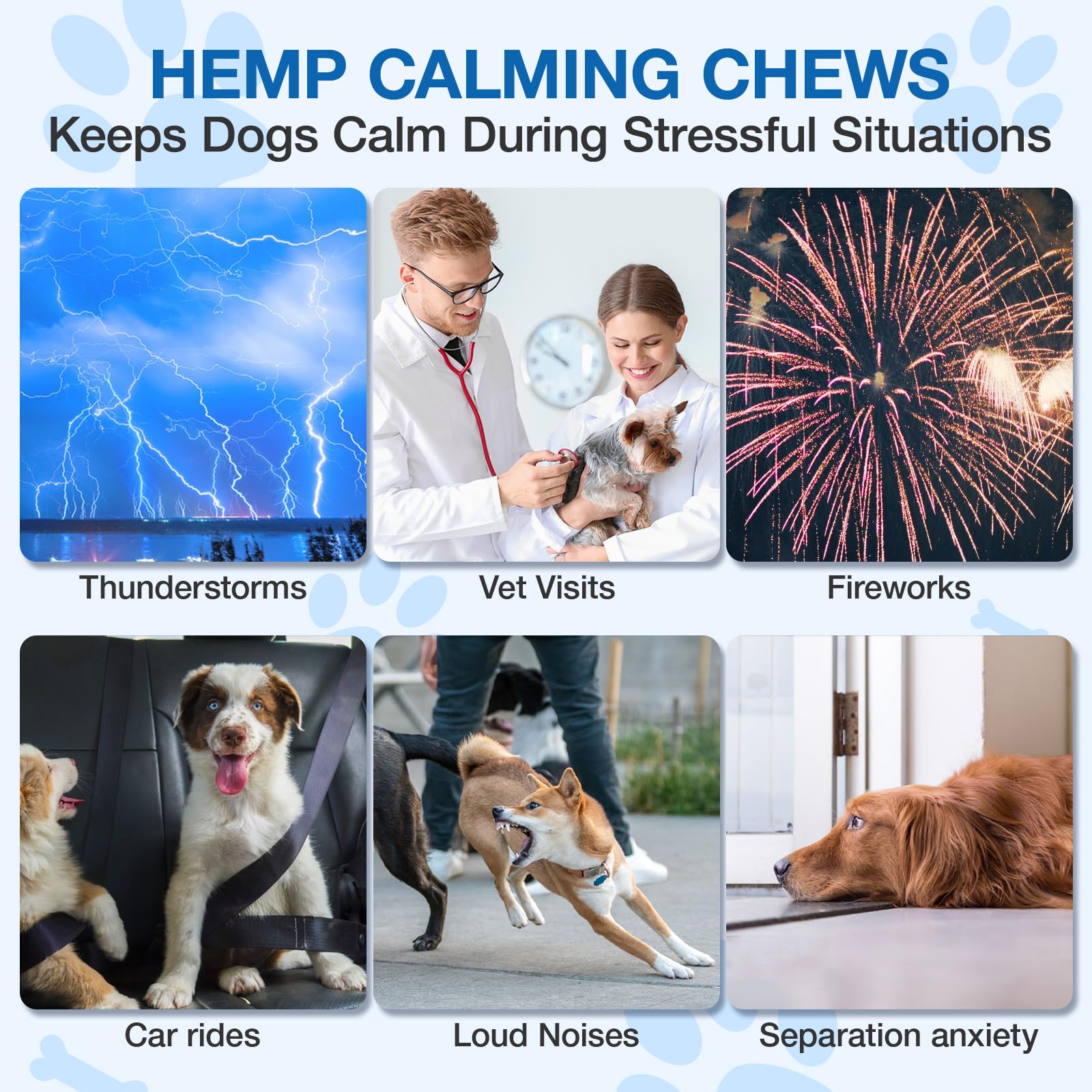 MaxHemp Masticables Calmantes para perros: perro disfrutando masticable de sabor pollo.