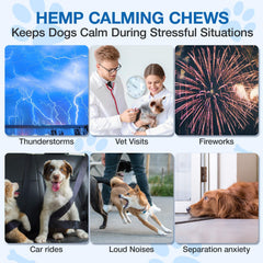 MaxHemp Masticables Calmantes para perros: perro disfrutando masticable de sabor pollo.