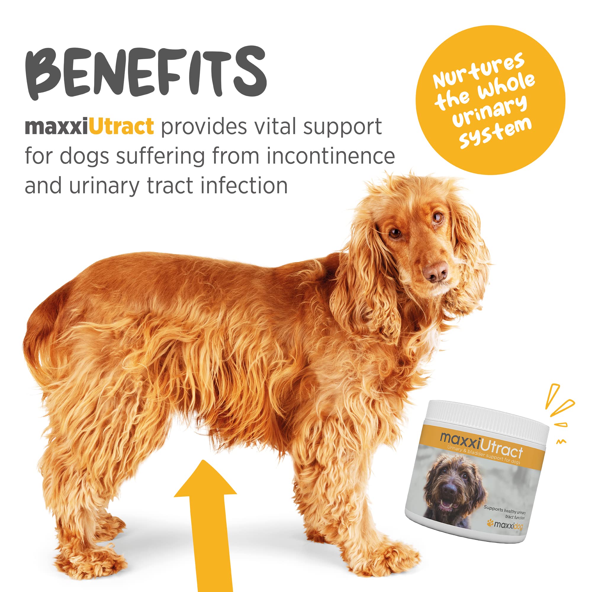 Maxxipaws D-Mannose Cranberry: ingredientes clave para un entorno urinario equilibrado.