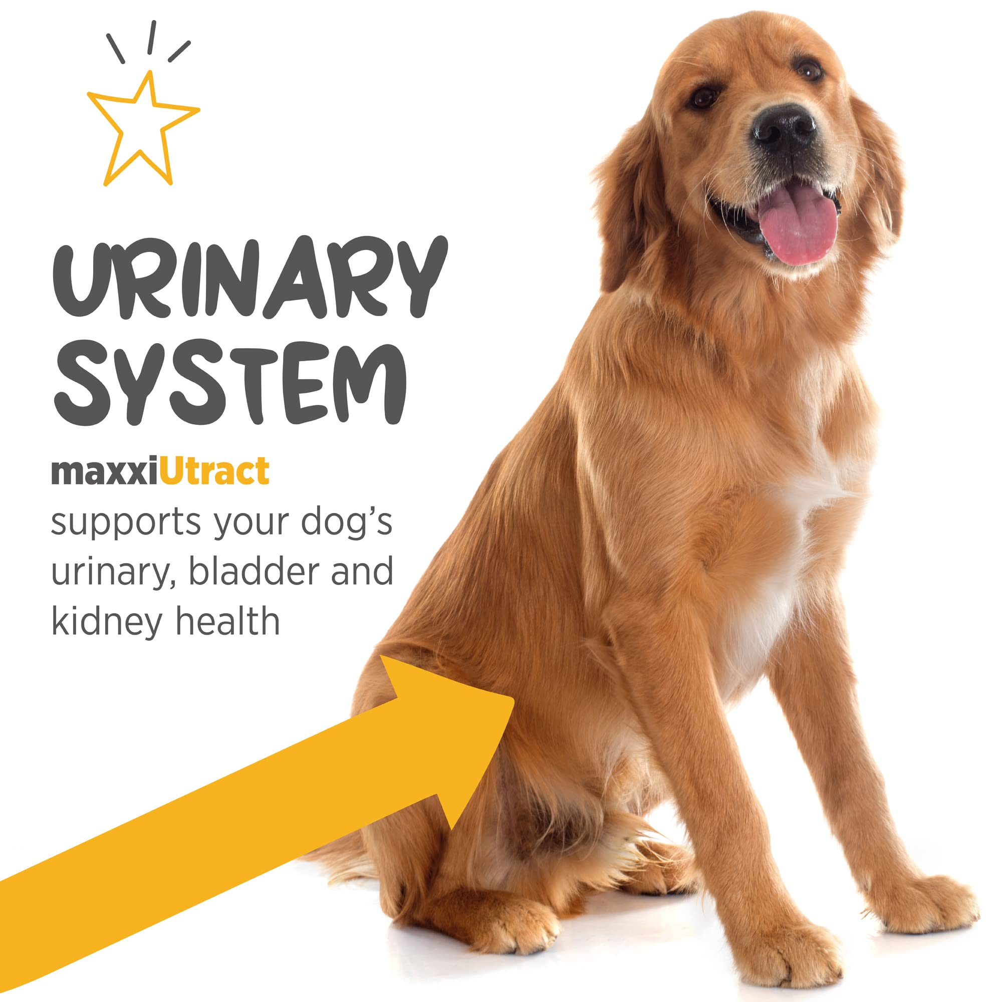 Maxxipaws Dosis flexible: ajusta la administración según las necesidades.