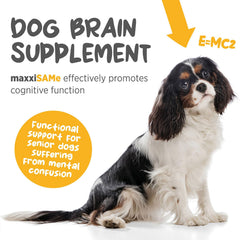maxxipaws maxxisame cuchara medidora, dosificación diaria fácil