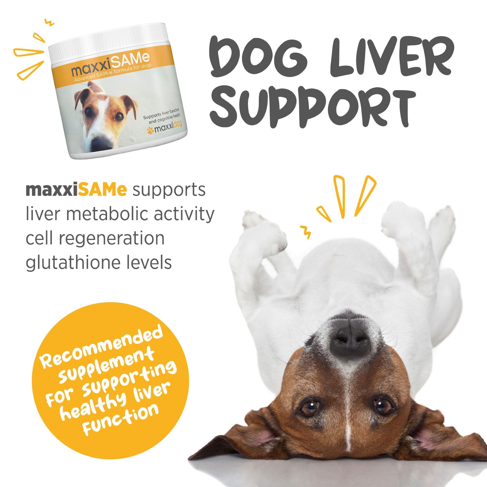 maxxipaws maxxisame etiqueta frontal, descripción clara de beneficios para perros