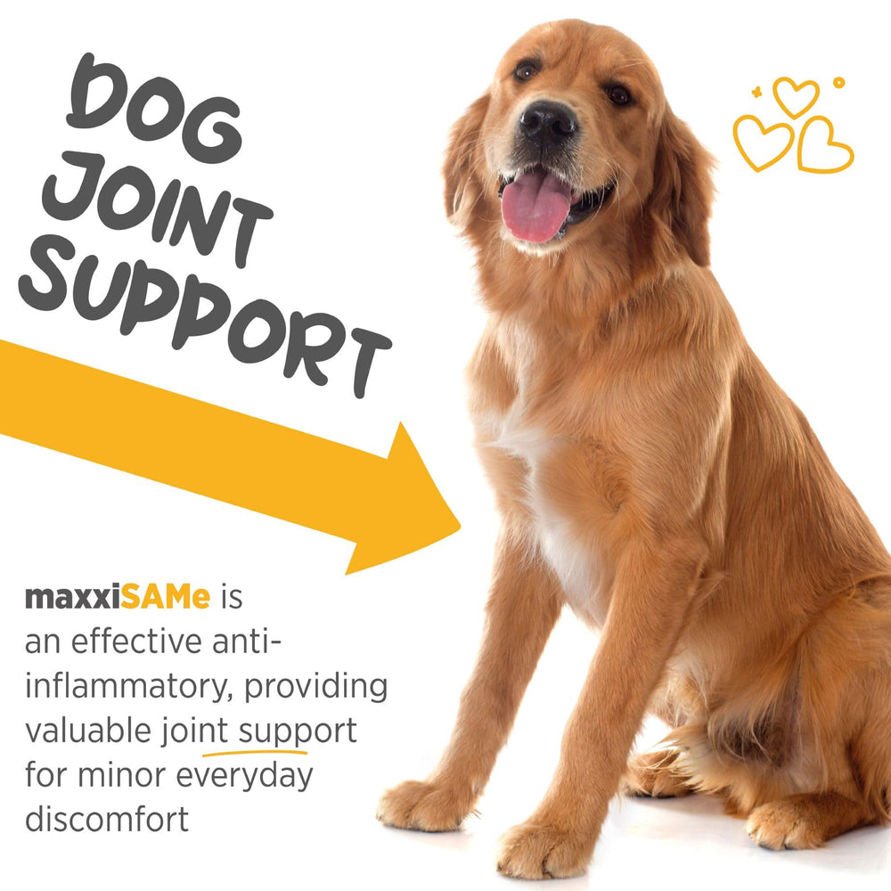 maxxipaws maxxisame mezcla en alimento, fácil de añadir a la comida