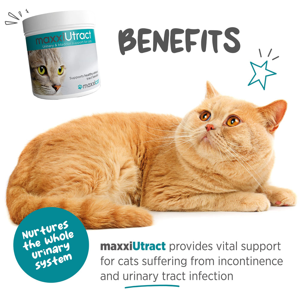 maxxipaws maxxiutract cuchara medidora, dosis diaria sencilla