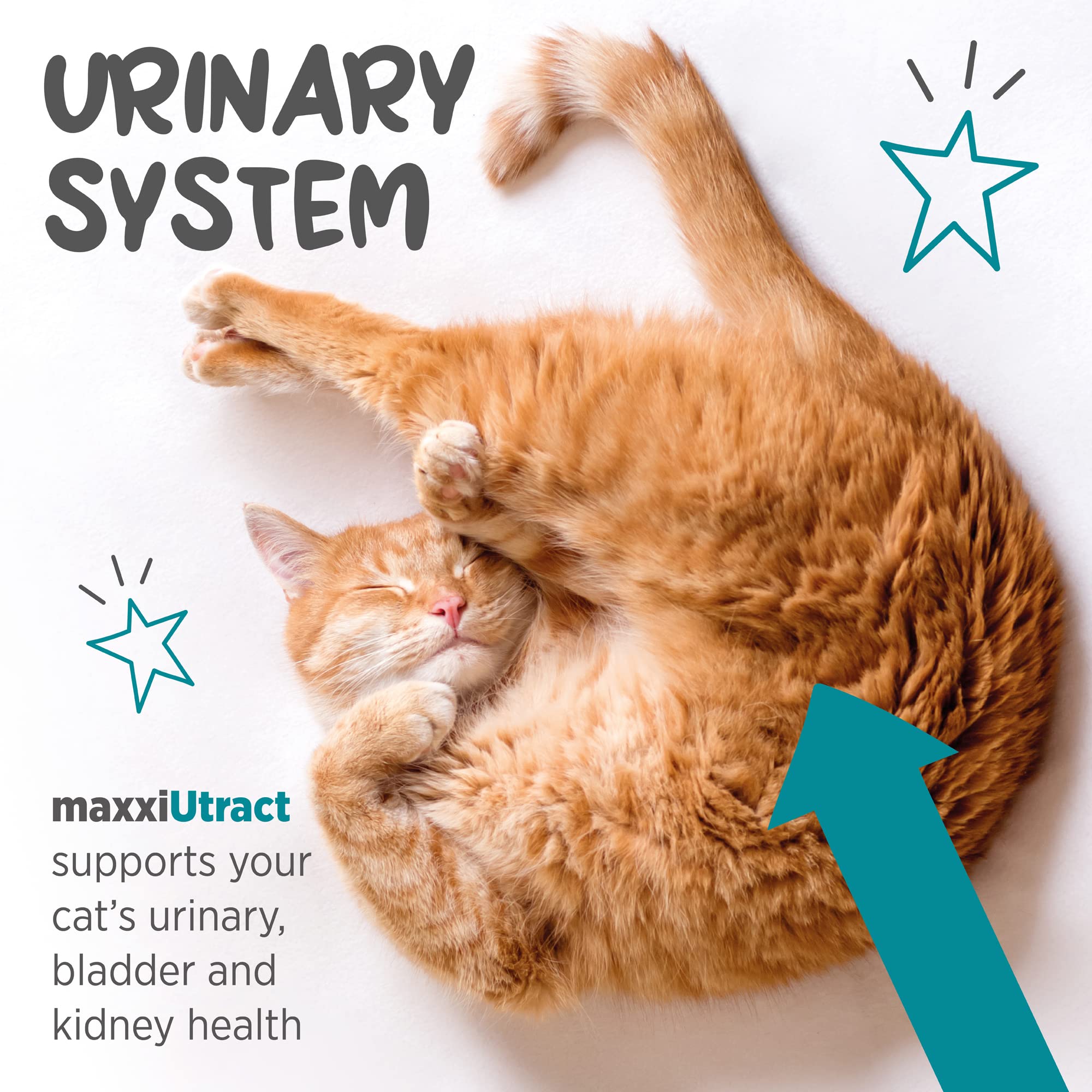 maxxipaws maxxiutract uso diario en comida, conveniente