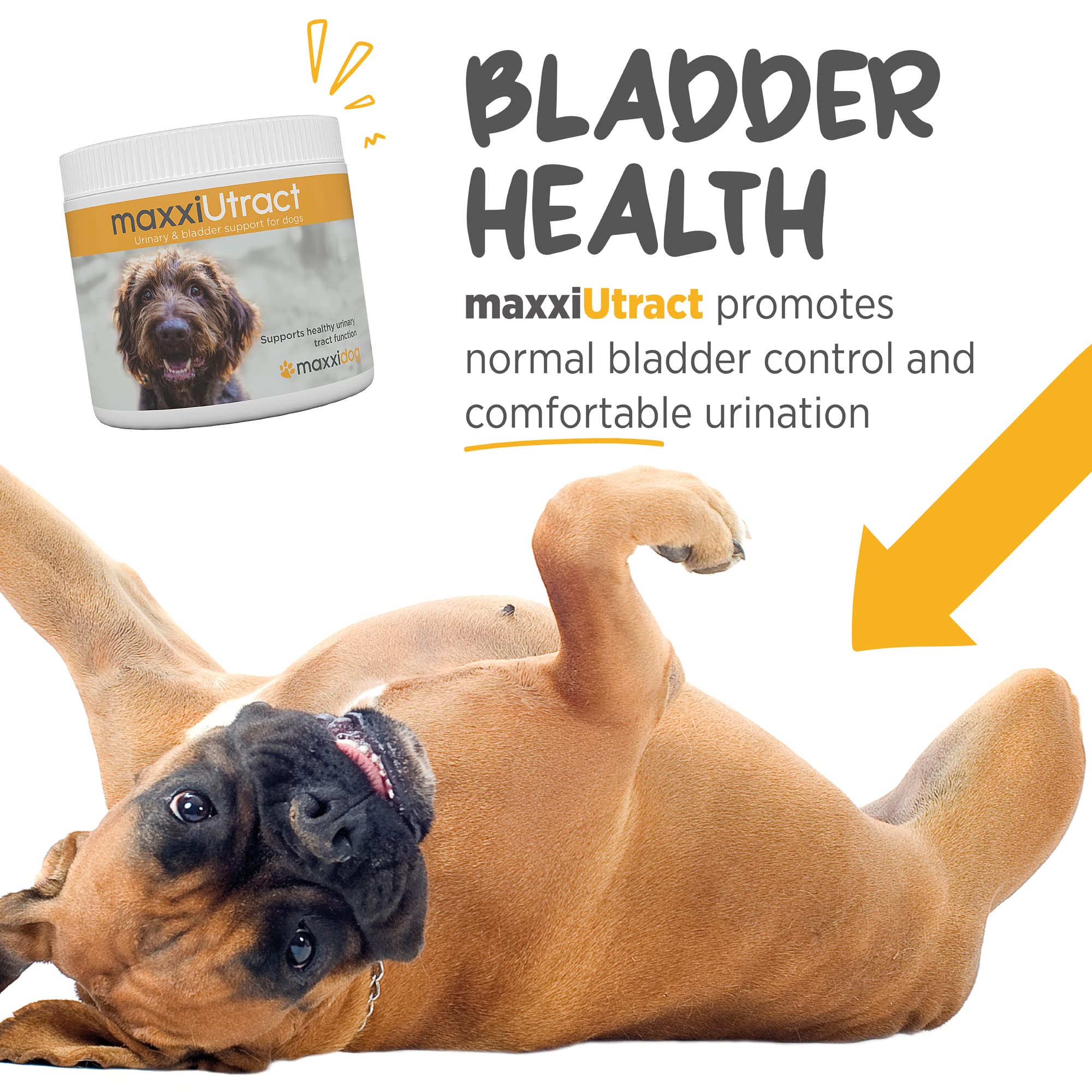 Maxxipaws Fórmula sin sabores artificiales: opción natural para perros.