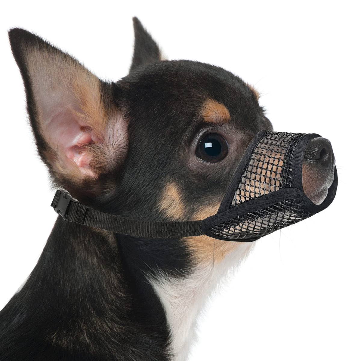 Mayerzon bozal de malla ajustable para perros, cómodo en paseos.