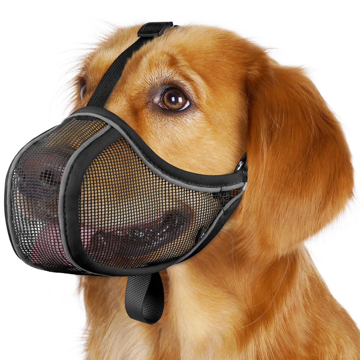 Bozal Mayerzon de malla suave para perros pequeños, cómodo para paseos diarios