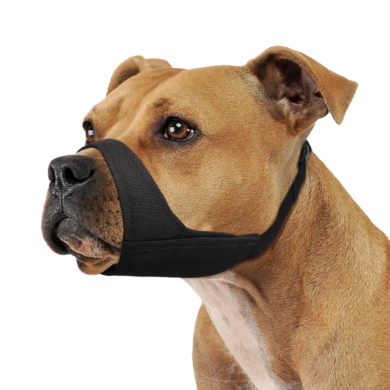 Bozal Mayerzon para perro de morro corto con ajuste perfecto para paseos seguros.