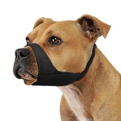 Bozal Mayerzon para perro de morro corto con ajuste perfecto para paseos seguros.