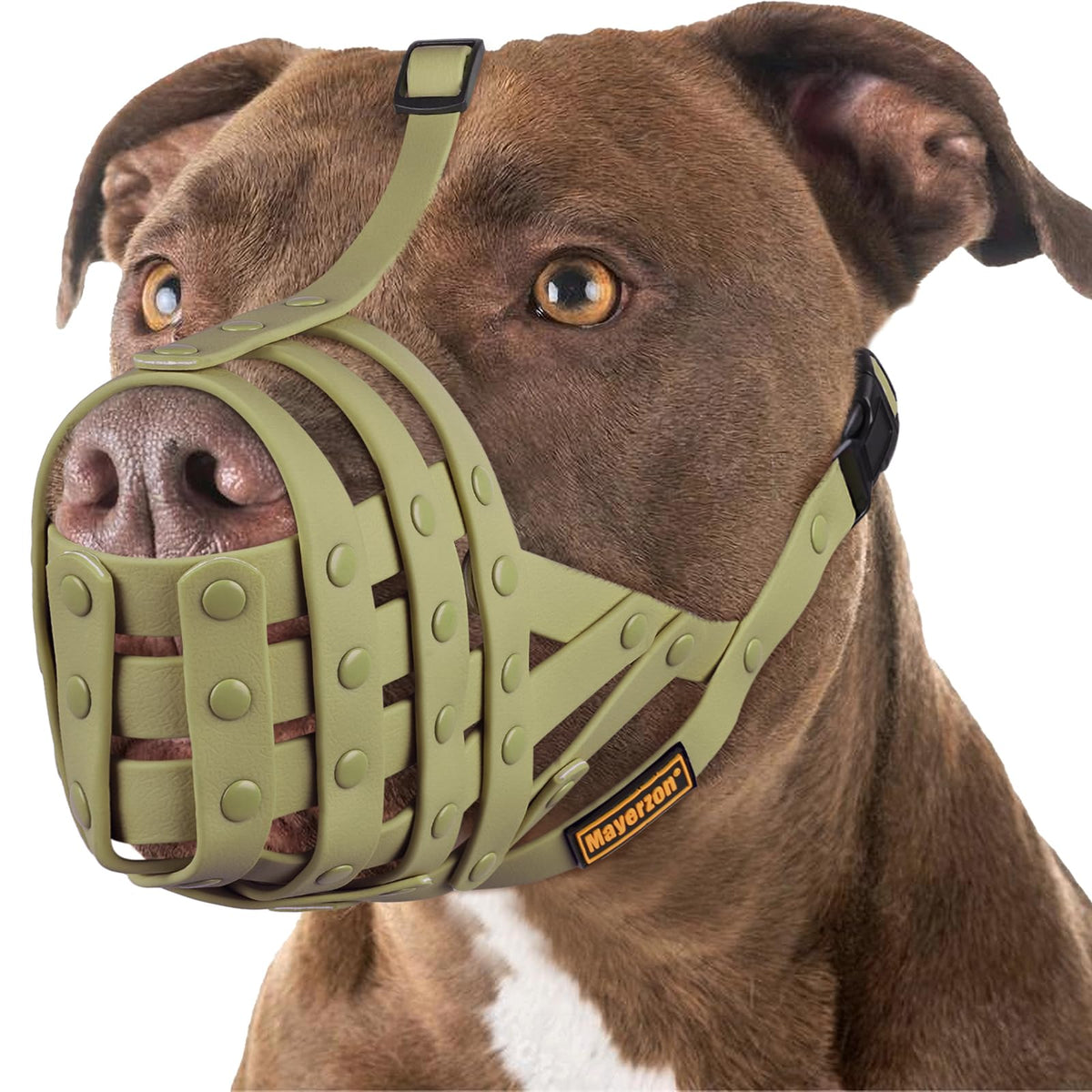 Mayerzon bozal Pitbull con ajuste superior para paseos cómodos y seguros.