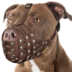 Mayerzon bozal para pitbull: protección ante mordidas durante paseos